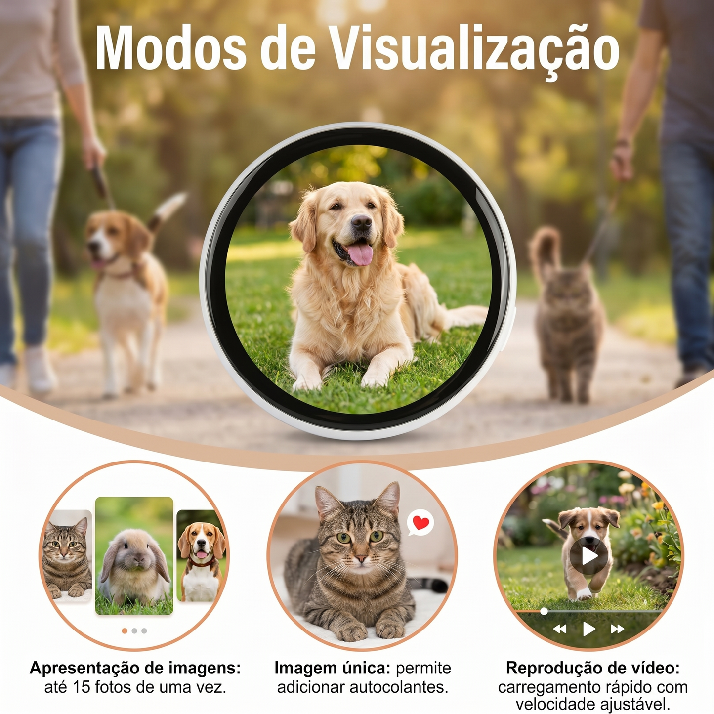 Pin Display com a Foto do Teu Pet